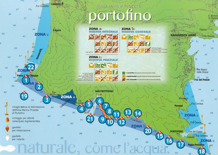La mappa delle immersionin nell'area marina protetta di Portofino